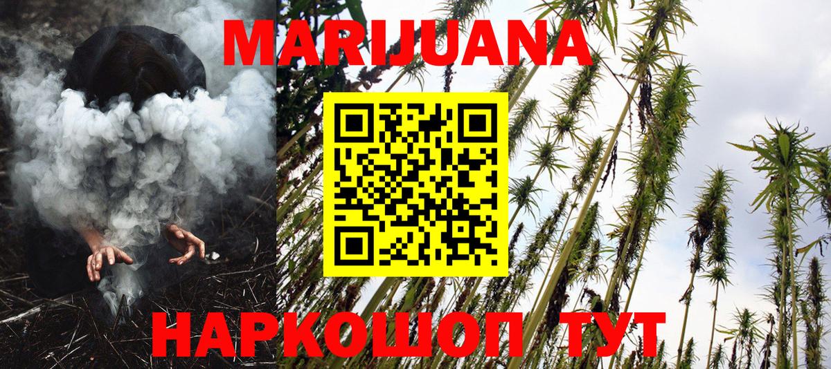 Канабис сатива Краснодар